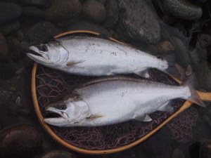 c0146788_11175474.jpg