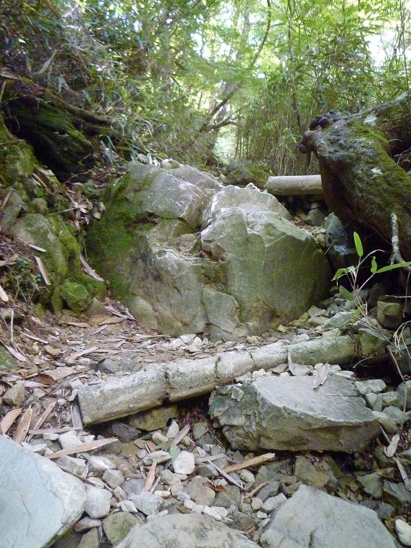 a0118289_9124317.jpg