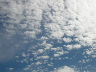 c0029190_20231368.jpg