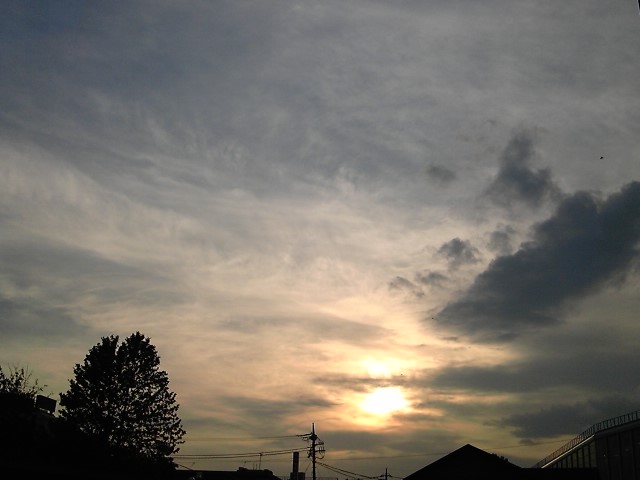 d0071590_2331724.jpg