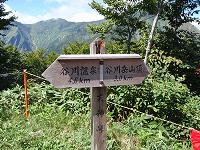 f0069890_1712386.jpg