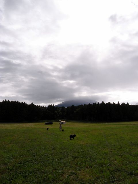 a0093592_1559636.jpg