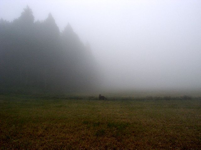 a0093592_16151199.jpg