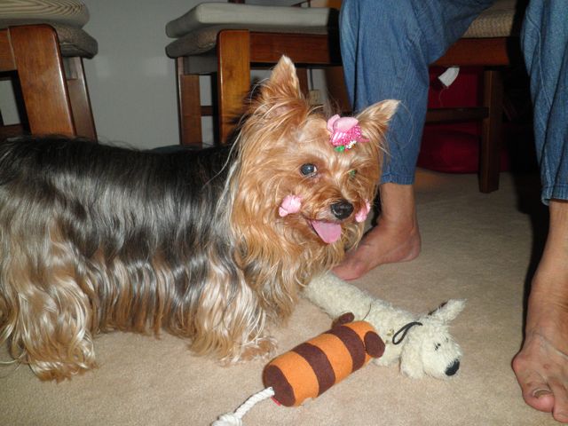f0130894_201222.jpg