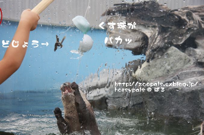 f0158697_22335445.jpg