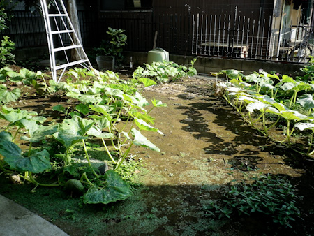 f0239100_10565550.jpg