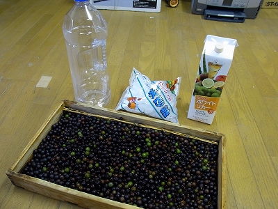 f0157901_2055598.jpg
