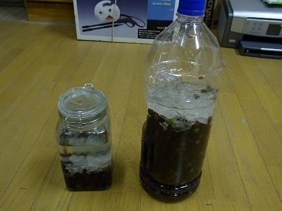 f0157901_2064049.jpg