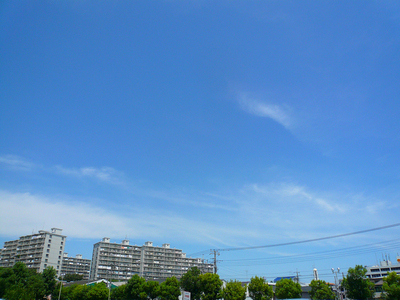 c0013805_17475917.jpg