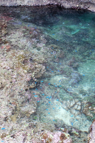 d0089706_21192142.jpg