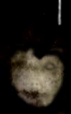e0103408_14224197.gif