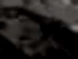 e0103408_14271380.gif