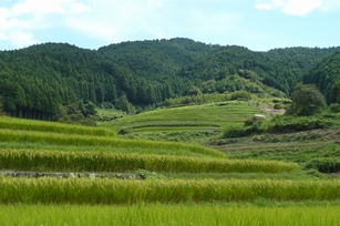 f0221708_11104462.jpg