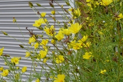 f0221708_1112553.jpg