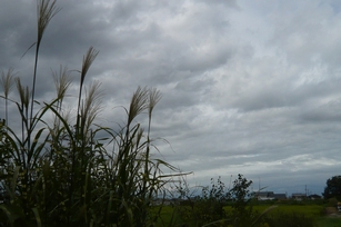 f0221708_11134144.jpg