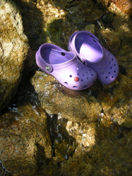 c0145209_0101439.jpg