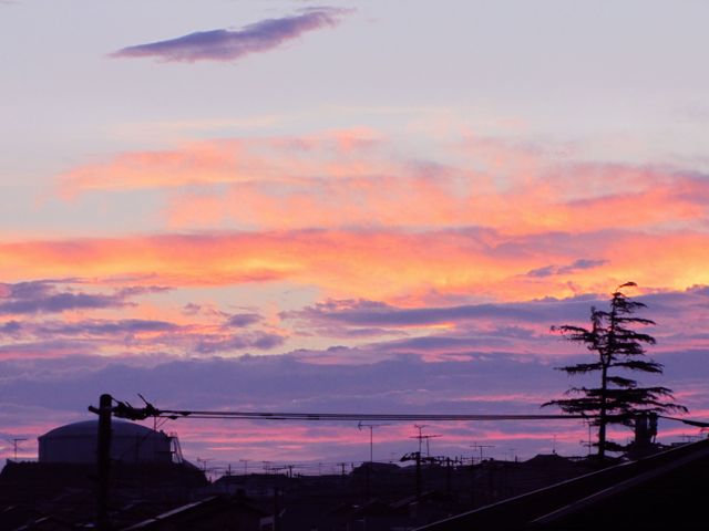 f0198909_2056434.jpg