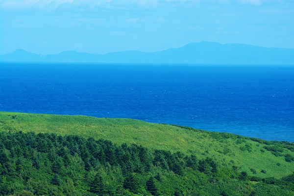c0146510_17543640.jpg