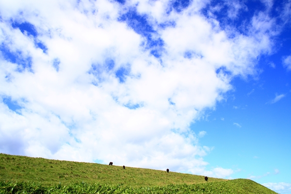 c0146510_175641.jpg