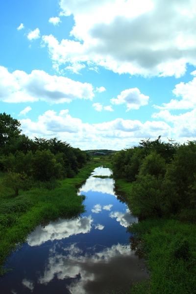 c0146510_1811336.jpg
