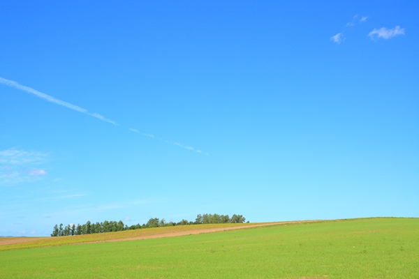 c0146510_18144687.jpg