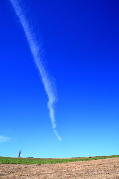 c0146510_18172286.jpg