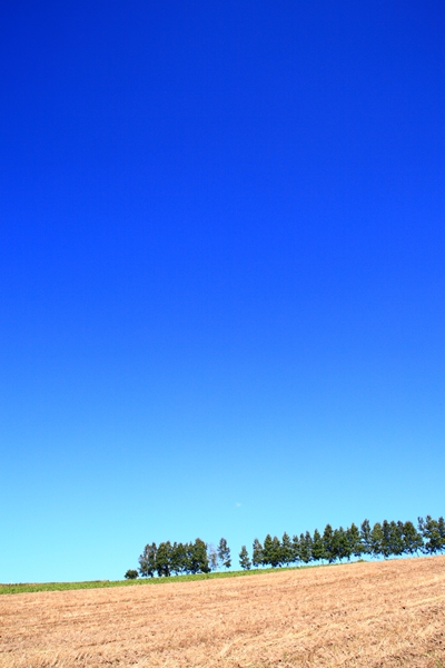 c0146510_18174242.jpg