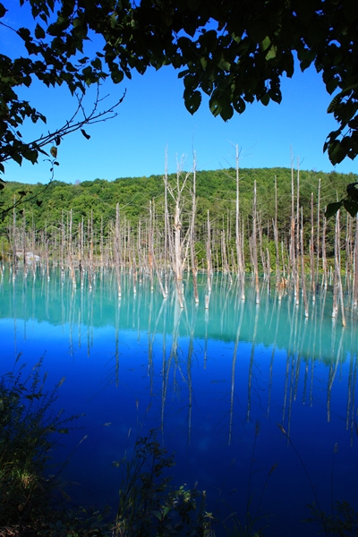 c0146510_18182517.jpg