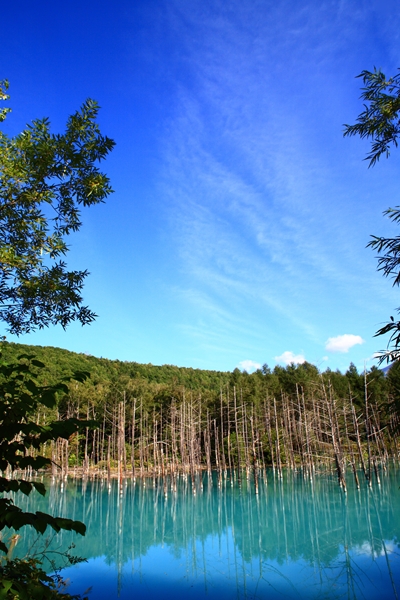 c0146510_1820212.jpg