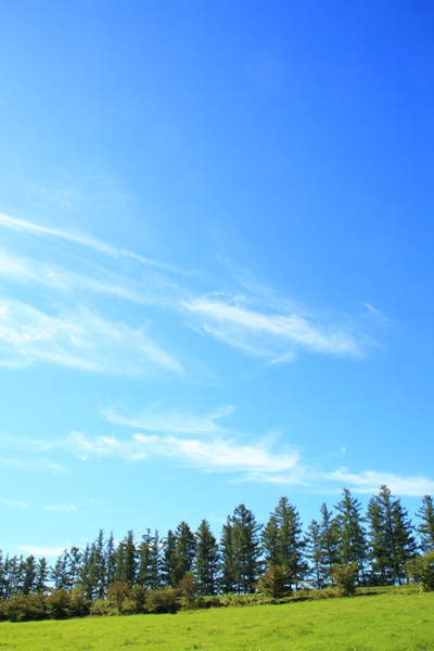 c0146510_185319.jpg