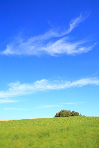 c0146510_1861289.jpg