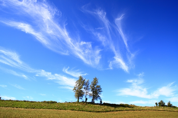 c0146510_1872745.jpg