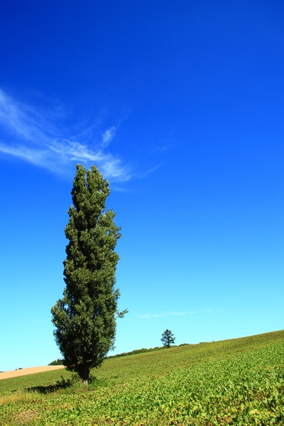 c0146510_1894881.jpg