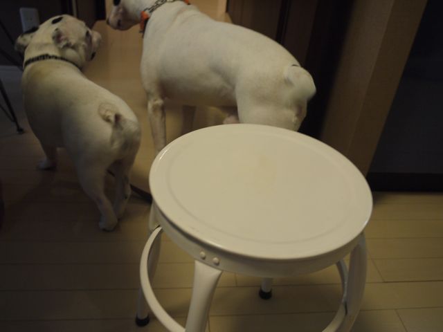 e0007510_112036100.jpg