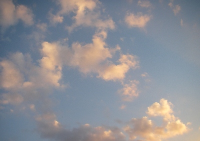 f0133814_138951.jpg
