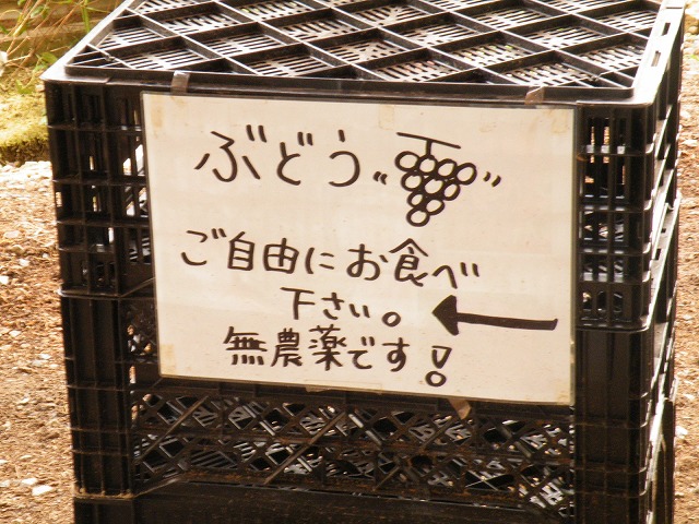 c0127617_1330114.jpg