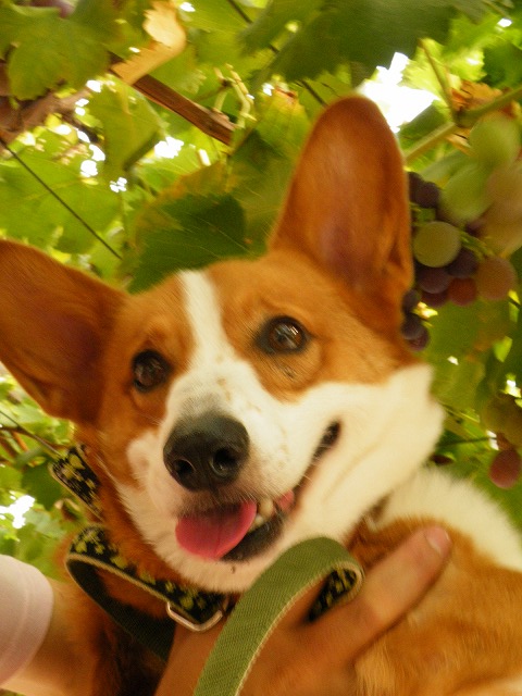 c0127617_1335439.jpg
