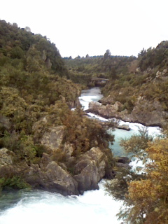 b0078021_12445392.jpg