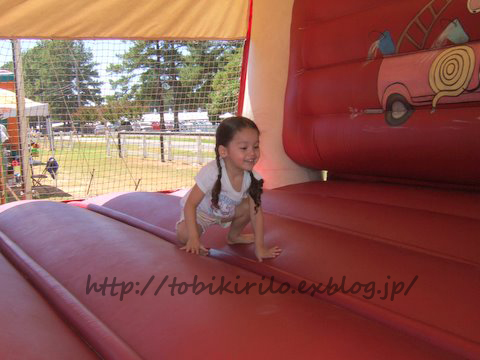 c0151122_11413475.jpg