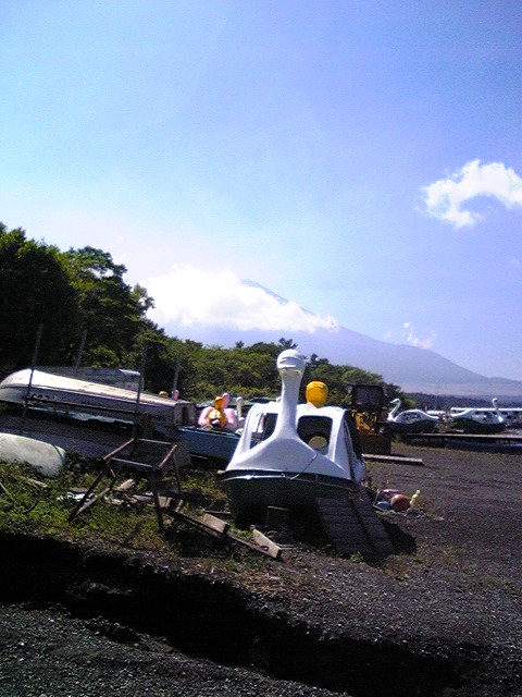 d0081124_23533179.jpg