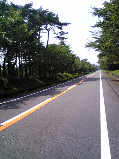 d0081124_2358662.jpg