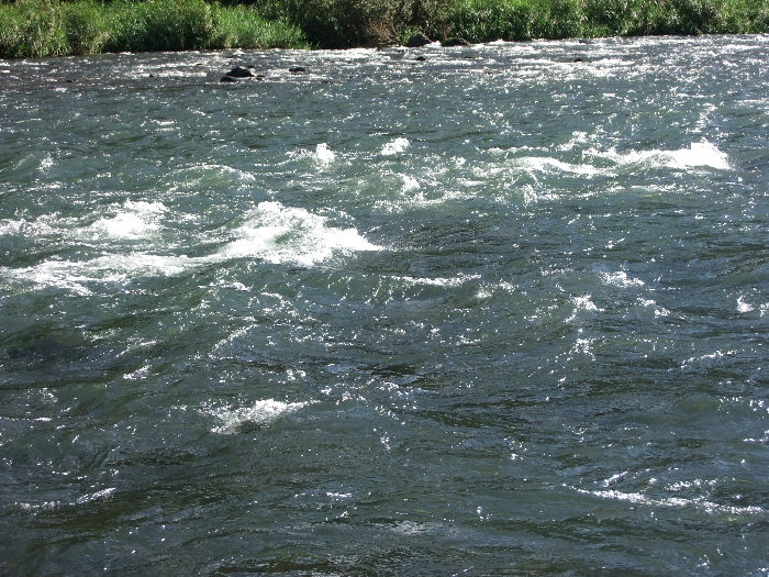 f0103126_2361875.jpg