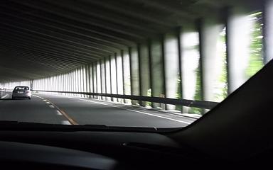 a0070831_858098.jpg