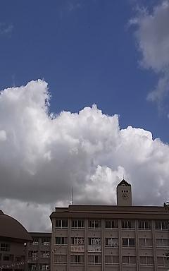 a0070831_921421.jpg