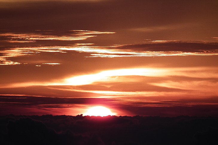 f0118332_1553342.jpg