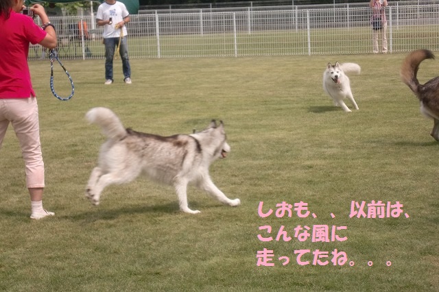 e0196135_233188.jpg