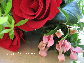 a0167836_11142719.jpg