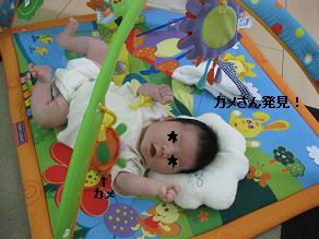 b0079436_7585539.jpg
