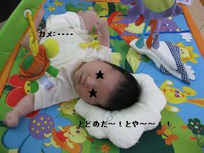 b0079436_7593156.jpg