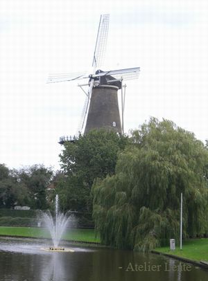 b0135438_22121016.jpg